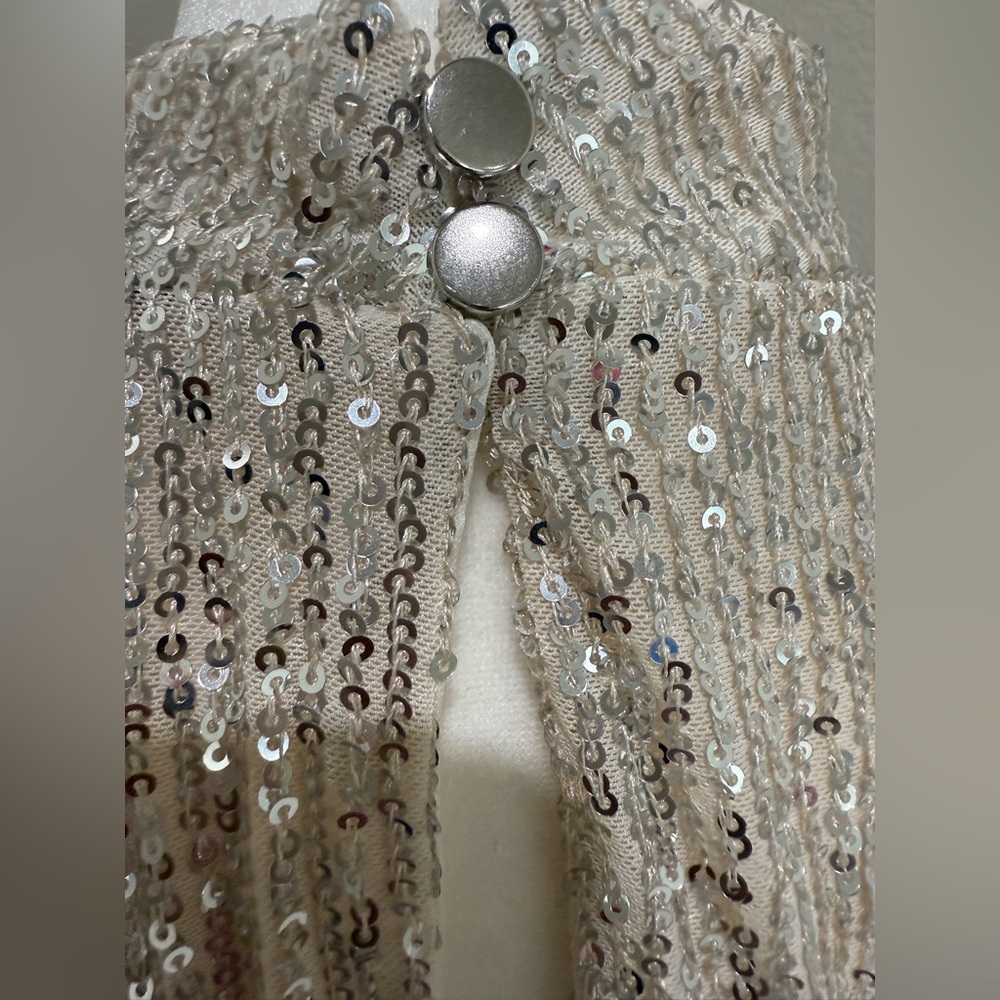 Halogen Sequins Silver Dress with Cream Lining, XL - Picture 8 of 11